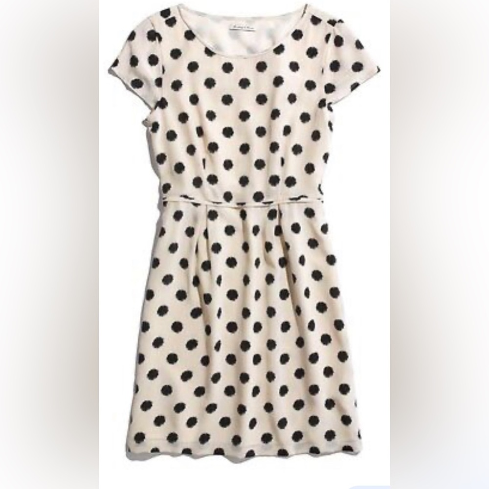 Madewell Polka Dot Silk Dress